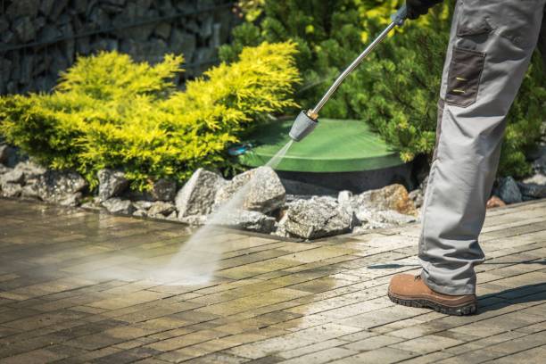 Best Winterizing Services  in Blue Ridge, AL